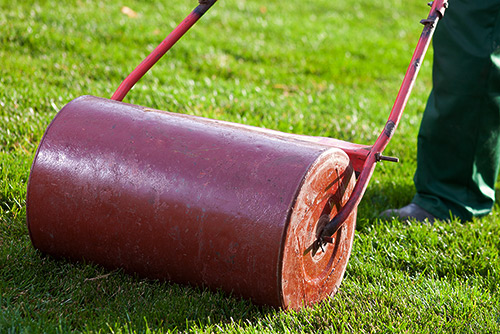 Бесплатная аренда для укладки