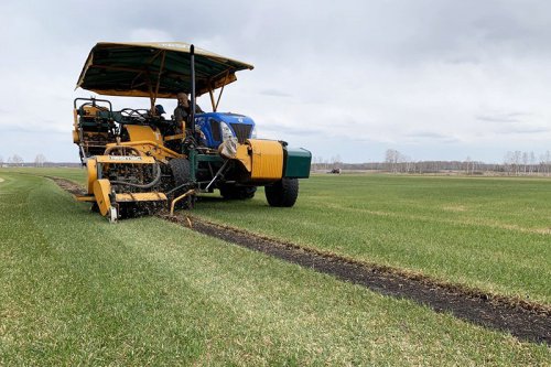 Сезон срезки '20 открыт! 