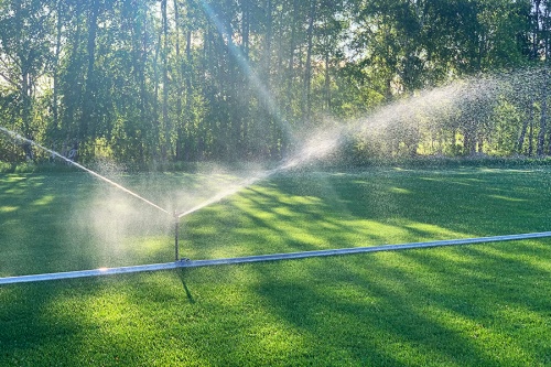 Полив газона в жару