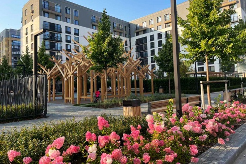 Время любования гортензиями