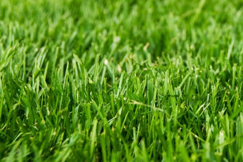 Закончили работы по весеннему уходу за газоном