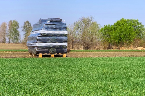 Открыли зеленый сезон