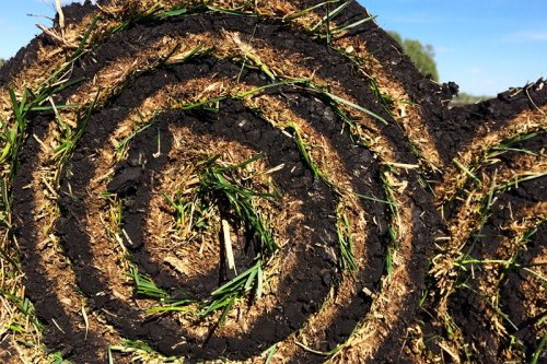 Сезон открыт по-настоящему: мы начали резать газон