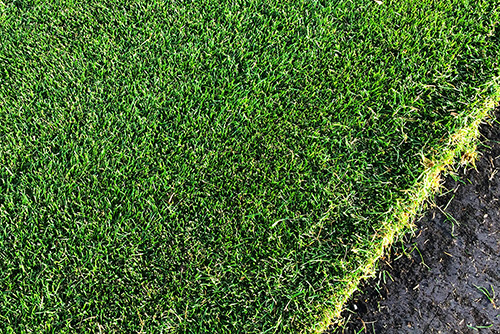 Весенний уход за газоном