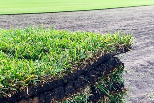 Газон от 140 рублей