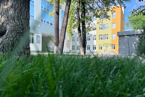 Стелем в школах