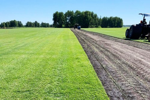 Настоящий спортивный газон по цене «Премиума»!