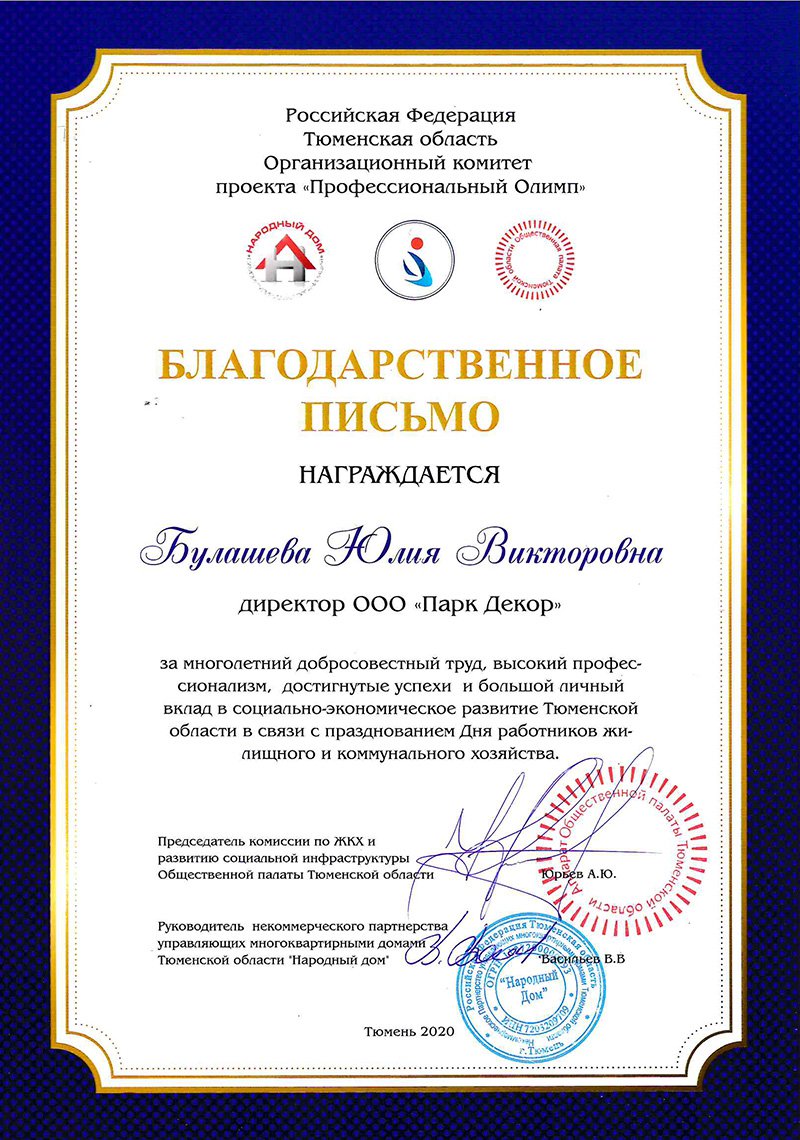 Профессиональный Олимп