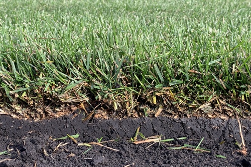 Весенний уход