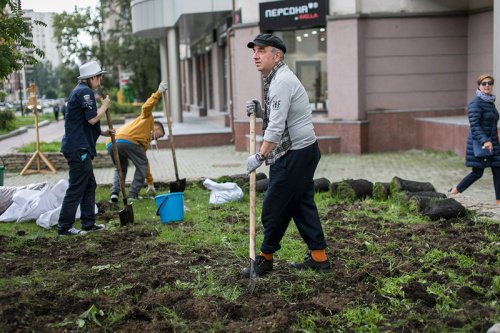 Вместе с Владимиром Шахриным постелили газон «Парк Декор» на ул. Красноармейской в Екатеринбурге