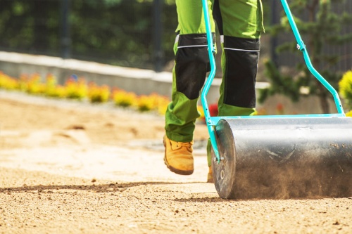 Бесплатная аренда катка