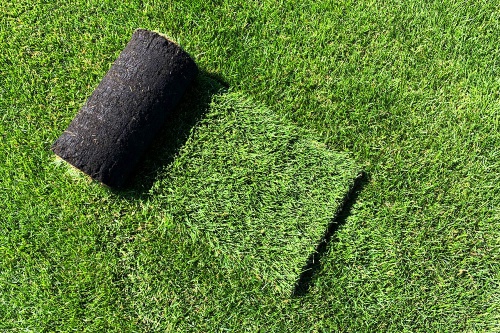 Началась резка газона